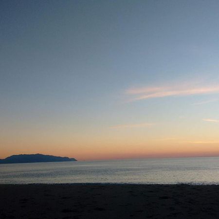 Beach House Into The Green! Πρέβεζα Εξωτερικό φωτογραφία
