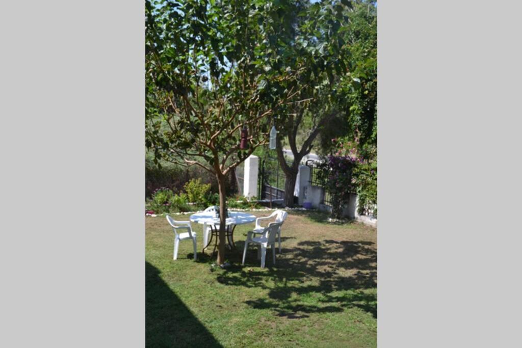 Beach House Into The Green! Πρέβεζα Εξωτερικό φωτογραφία